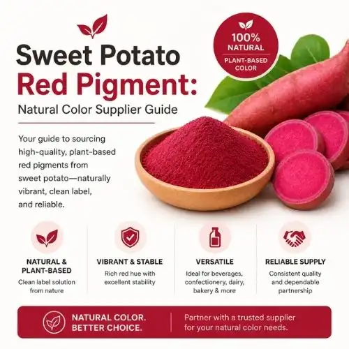 Sweet Potato Red Pigment: Natural Color Supplier Guide